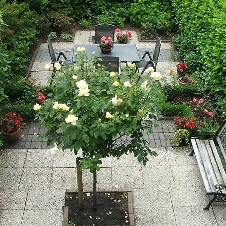 Red Rose Ouderkerk aan de Amstel